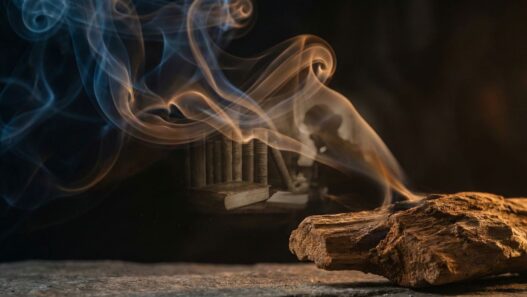 Voggia Koku Psikolojisi | Voggia