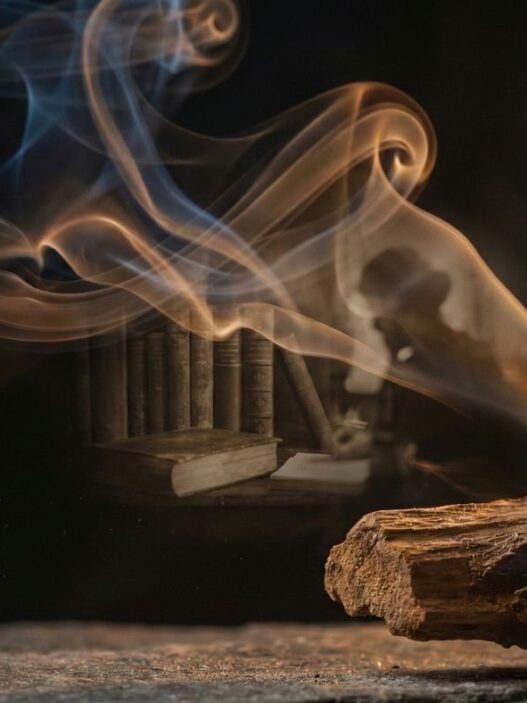 Voggia Koku Psikolojisi | Voggia