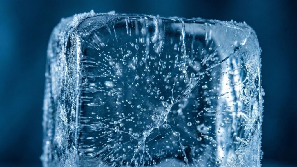 Voggia Hucresel Duzeyde Genc Kalmak 2 | Voggia