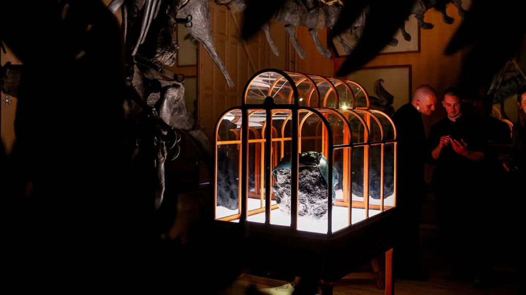 Lab-grown T-Rex leather handbag displayed inside glass at Art Zoo Museum Amsterdam with dinosaur skeleton silhouette behind.