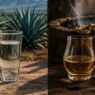 tekila ve mezcal | Voggia
