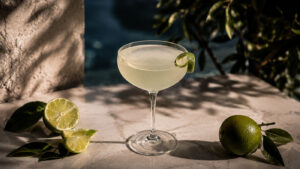 gimlet kokteyli | Voggia