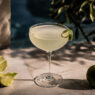 gimlet kokteyli | Voggia